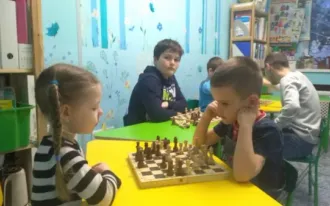 Шахматы