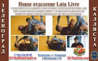 Зеленоград.Бразильская борьба Лута Ливре.