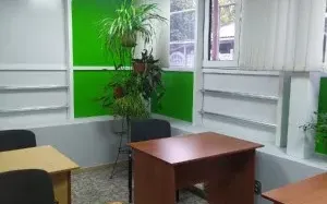 Репетитор к ЕГЭ и ОГЭ по школьным предметам