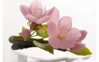 Украшения из полимерной глины