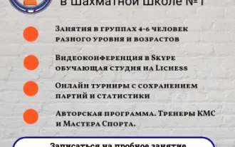 Шахматы