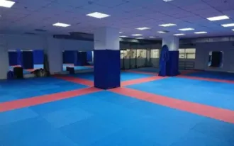 Российский центр капоэйры, Бибирево