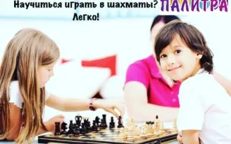 Шахматы