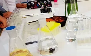 Летняя профориентационная школа