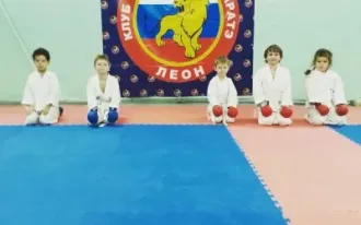 Каратэ WKF