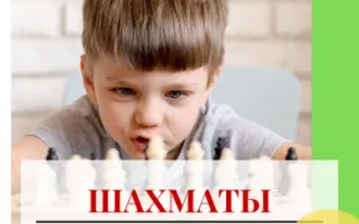 Шахматы
