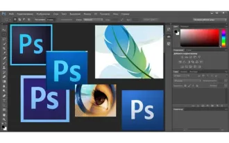 Курс освоения программы Photoshop