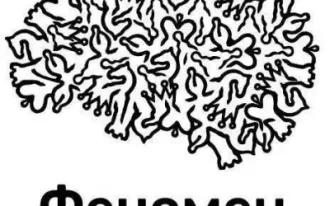 Шахматная школа Феномен