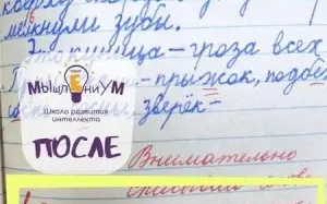 Чистописание, аккуратный почерк и грамотное письмо